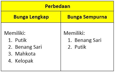 Detail Gambar Bunga Sempurna Beserta Bagian Bagiannya Nomer 34