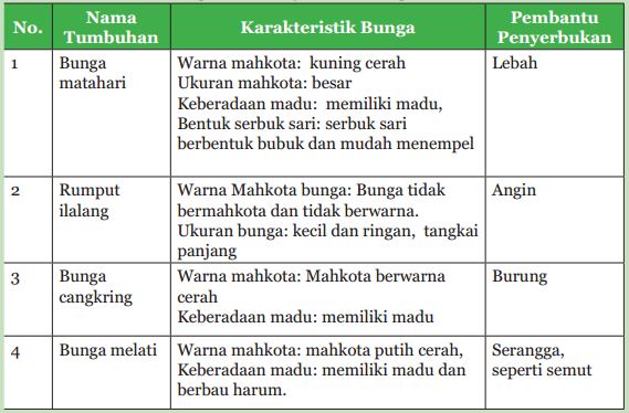 Detail Gambar Bunga Sepatu Dan Cara Penyerbukannya Nomer 33