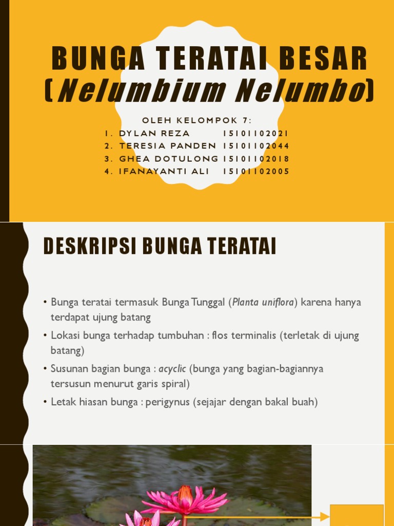 Detail Gambar Bunga Teratai Dan Penjelasan Nomer 42