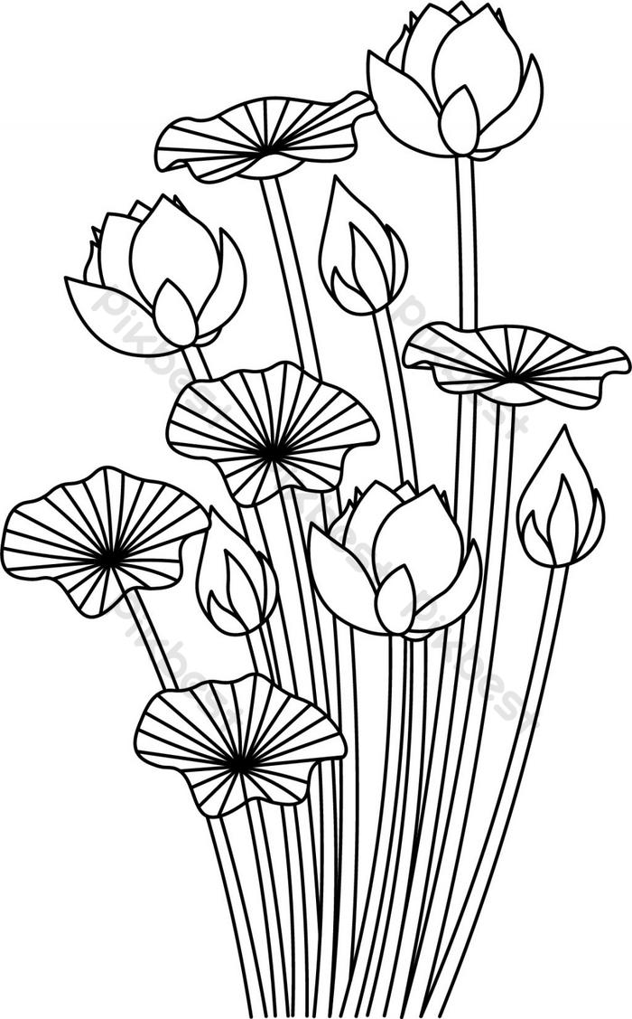 Detail Gambar Bunga Teratai Untuk Mewarnai Nomer 40