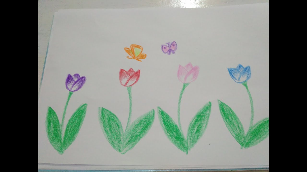 Detail Gambar Bunga Tulip Untuk Anak Tk Nomer 4