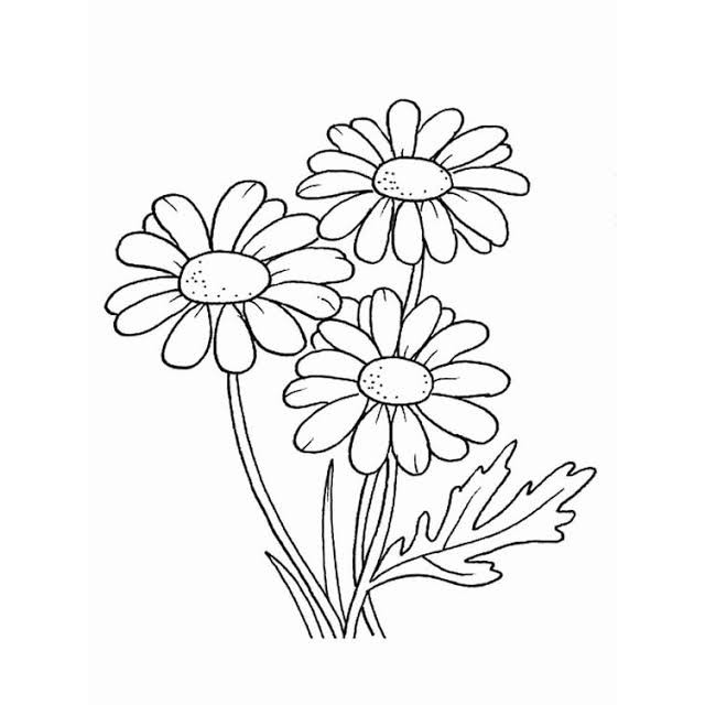 Detail Gambar Bunga Untuk Belajar Mewarnai Nomer 20