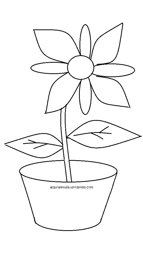 Detail Gambar Bunga Untuk Belajar Mewarnai Nomer 49