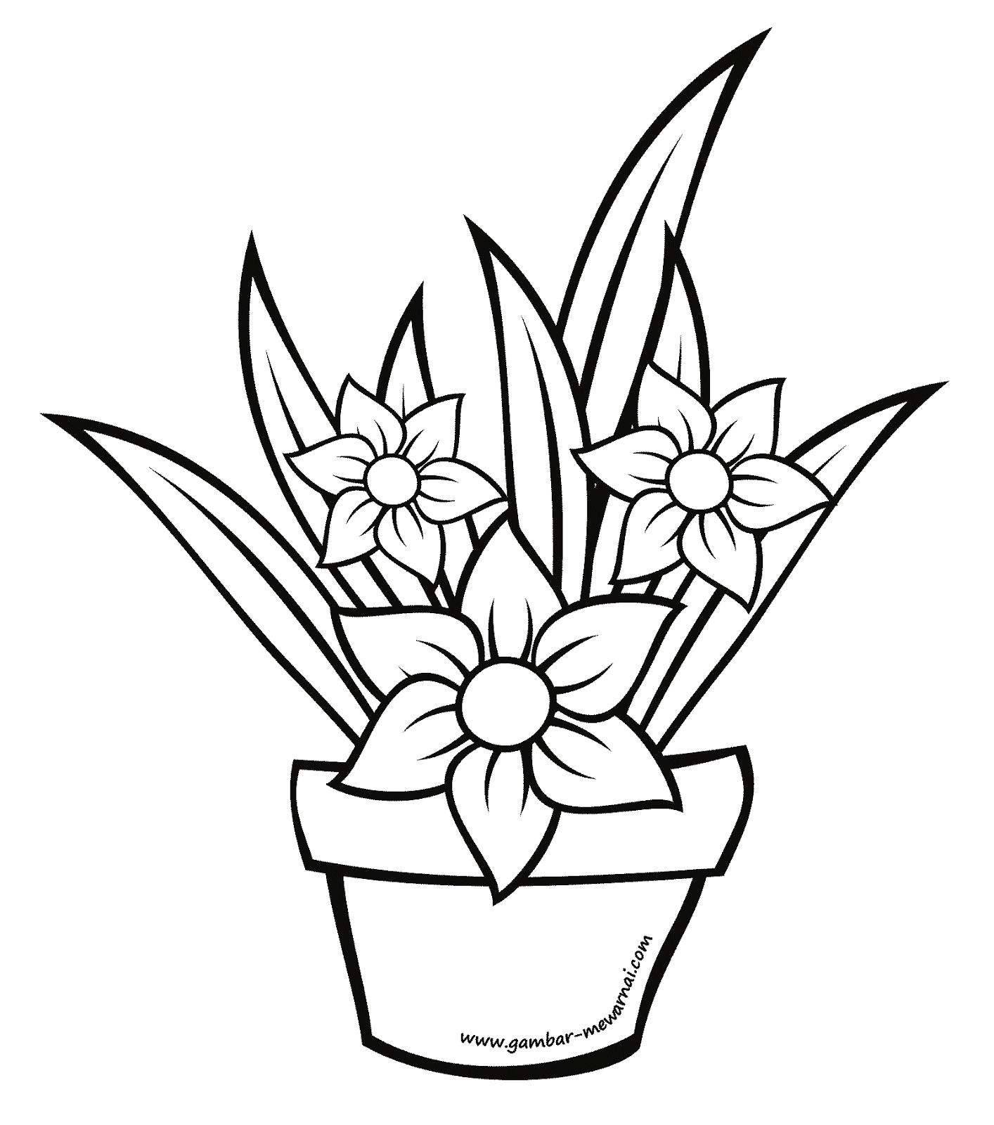 Detail Gambar Bunga Untuk Belajar Mewarnai Nomer 55
