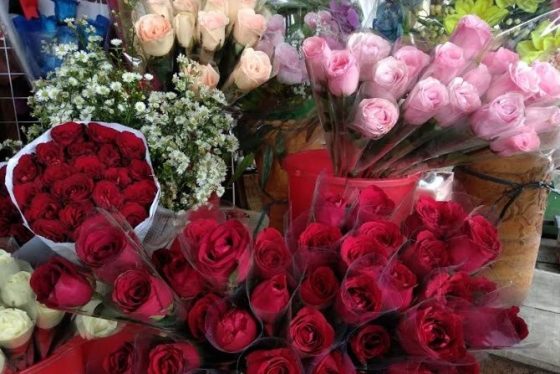 Download Gambar Bunga Untuk Hari Valentine Nomer 21