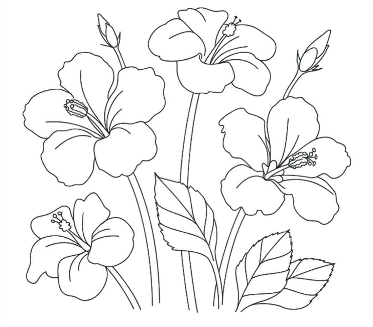 Detail Gambar Bunga Untuk Kolase Anak Tk Nomer 44