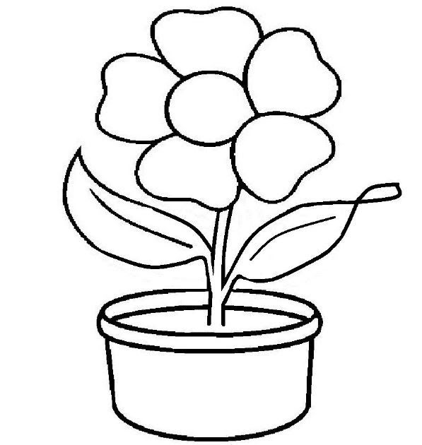 Detail Gambar Bunga Untuk Mewarnai Anak Paud Nomer 7