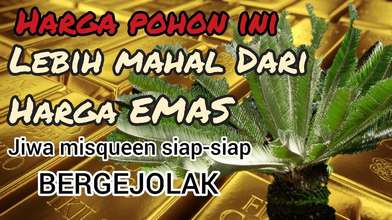 Detail Gambar Bunga Yang Harganya Mahal Nomer 28