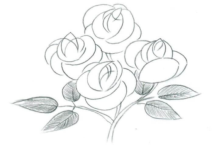 Detail Gambar Bunga Yang Simple Untuk Digambar Nomer 48