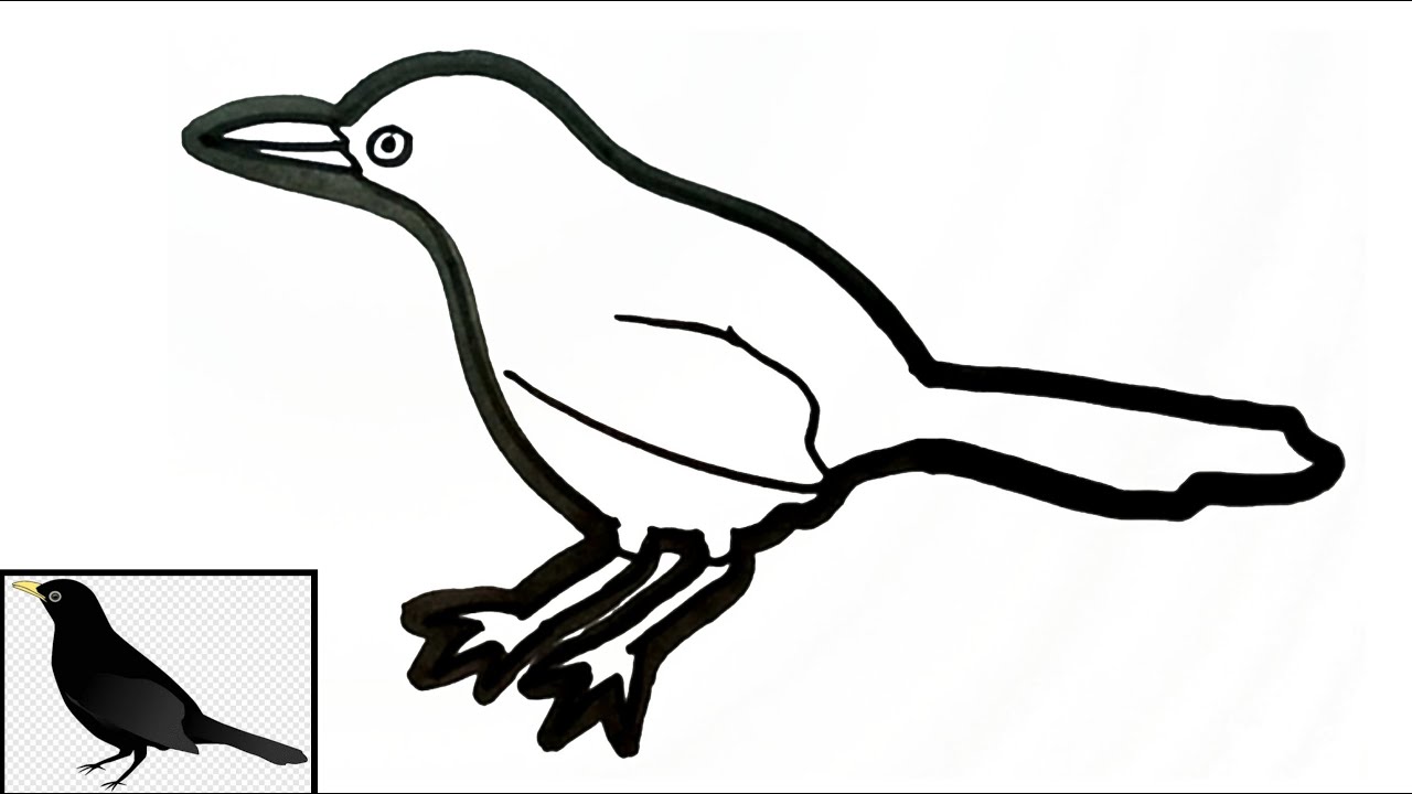 Detail Gambar Burung Gagak Kartun Nomer 44