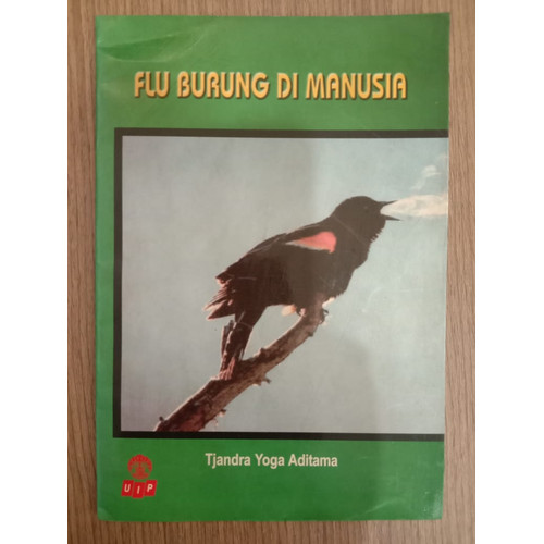 Detail Gambar Burung Manusia Nomer 15