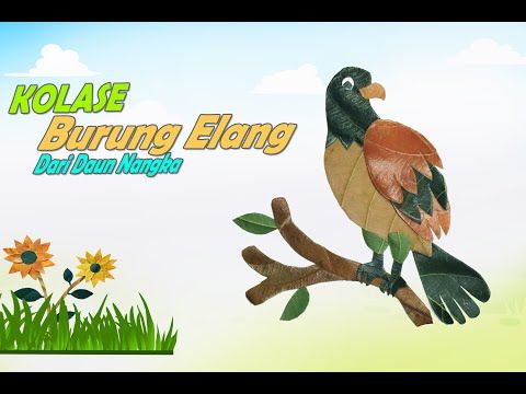 Detail Gambar Burung Untuk Kolase Nomer 42