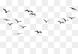 Detail Gambar Burung Vektor Nomer 2