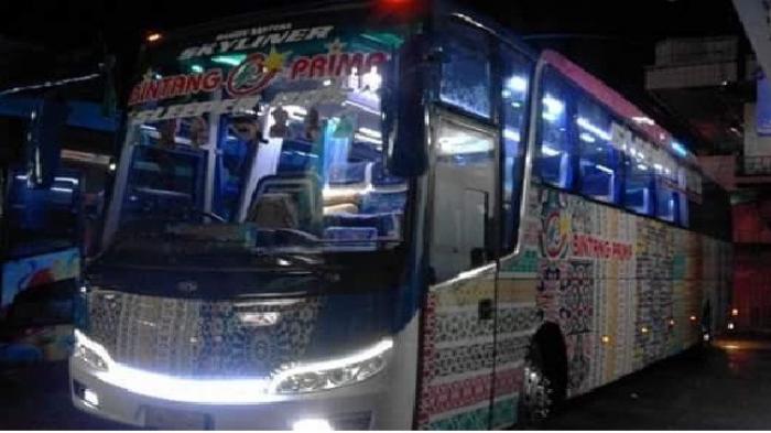 Detail Gambar Bus Bintang Prima Makassar Nomer 43