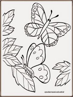 Detail Gambar Butterfly Hitam Putih Nomer 16