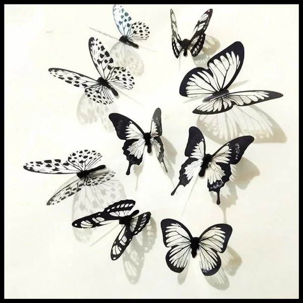 Detail Gambar Butterfly Hitam Putih Nomer 23