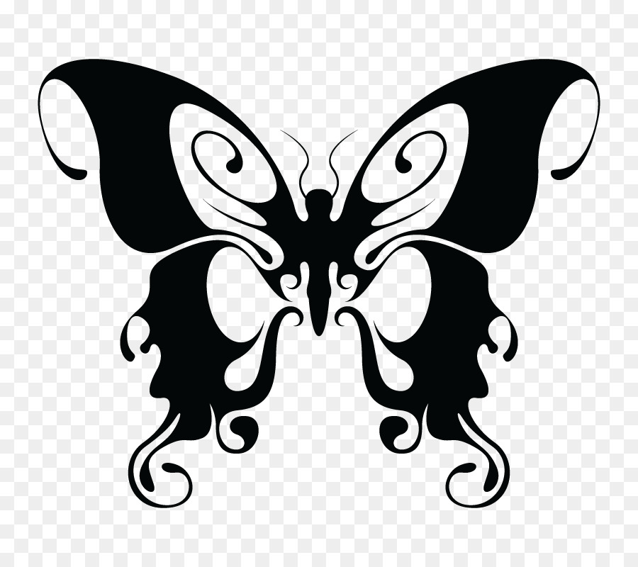 Detail Gambar Butterfly Hitam Putih Nomer 8