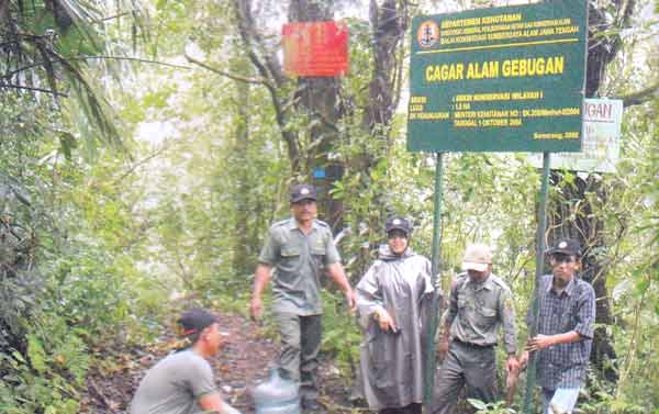 Detail Gambar Cagar Alam Adalah Nomer 5