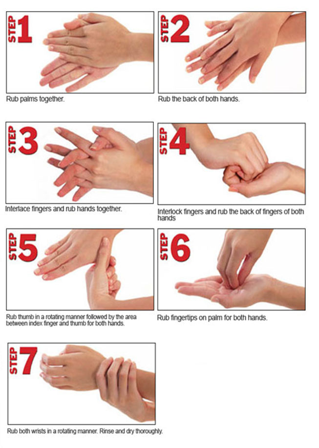 Detail Gambar Cara Cuci Tangan 7 Langkah Nomer 19