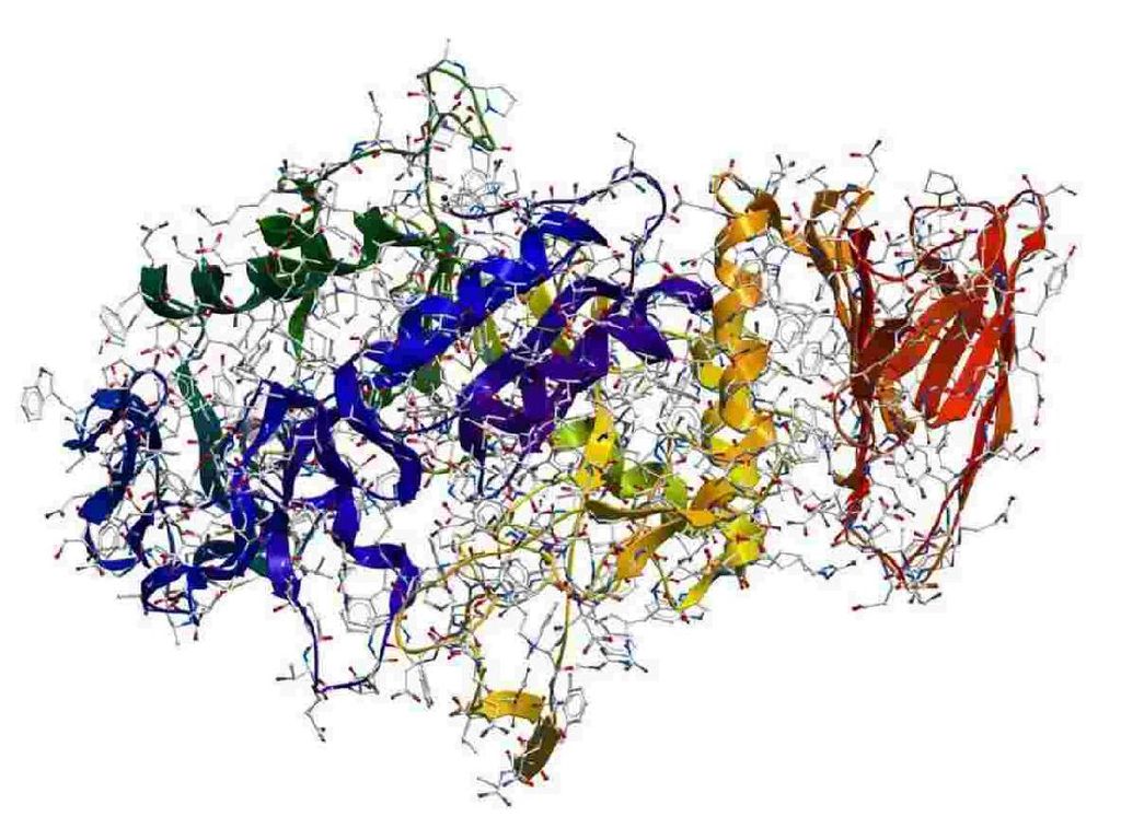 Detail Gambar Cara Kerja Enzim Nomer 47