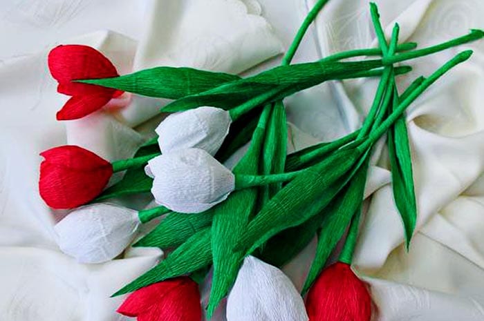 Detail Gambar Cara Membuat Bunga Tulip Dari Kertas Krep Nomer 26