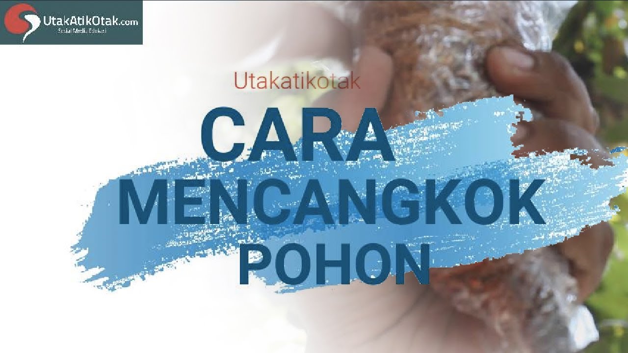 Detail Gambar Cara Mencangkok Nomer 28