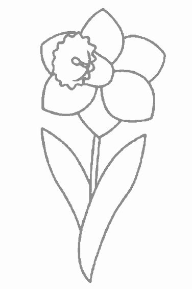 Detail Gambar Cara Menggambar Bunga Lili Nomer 33