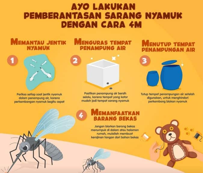 Detail Gambar Cara Pencegahan Perkembangbiakan Nyamuk Nomer 16