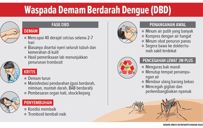 Detail Gambar Cara Pencegahan Perkembangbiakan Nyamuk Nomer 26