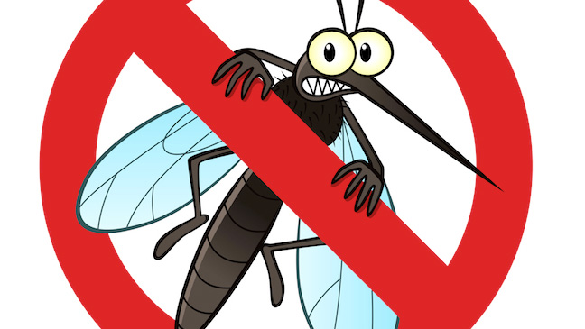 Detail Gambar Cara Pencegahan Perkembangbiakan Nyamuk Nomer 36