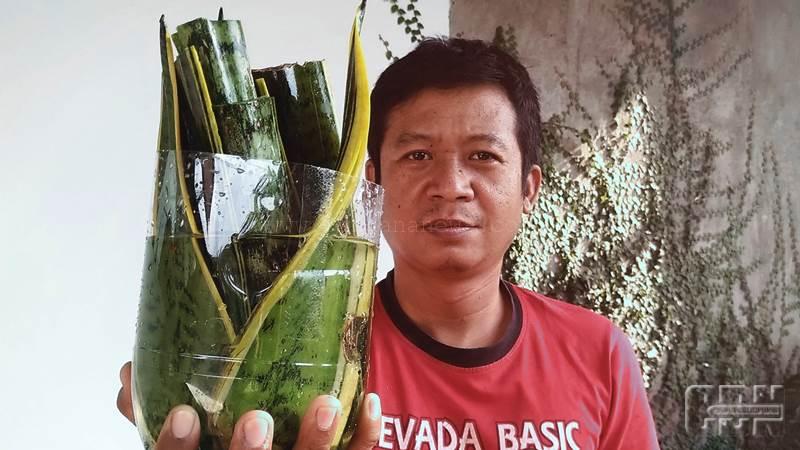 Detail Gambar Cara Stek Daun Nomer 29