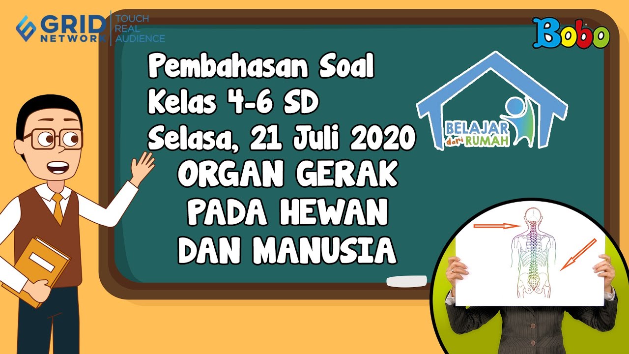 Detail Gambar Cerita Tentang Organ Gerak Hewan Dan Manusia Nomer 36