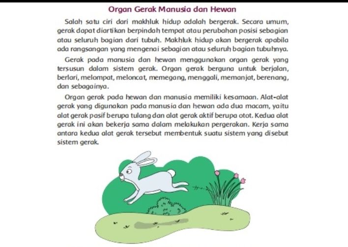 Detail Gambar Cerita Tentang Organ Gerak Hewan Dan Manusia Nomer 6