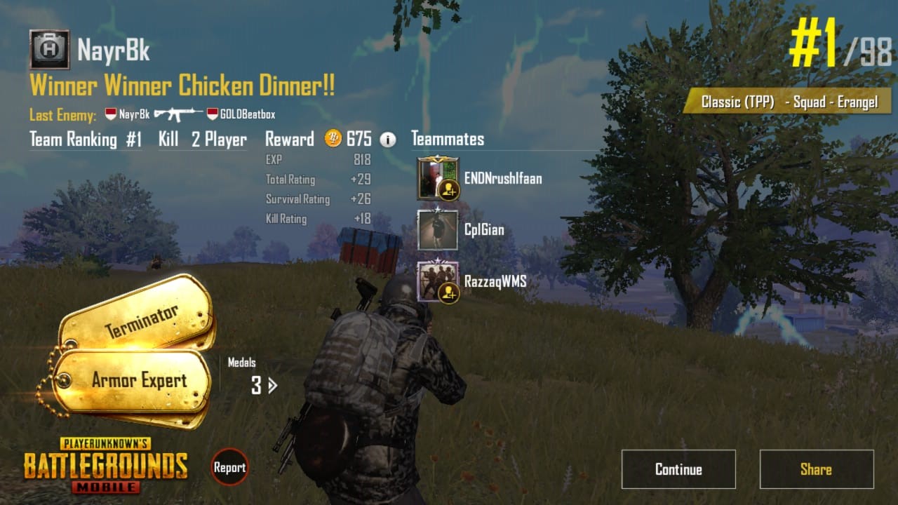 Detail Gambar Chicken Dinner Nomer 40