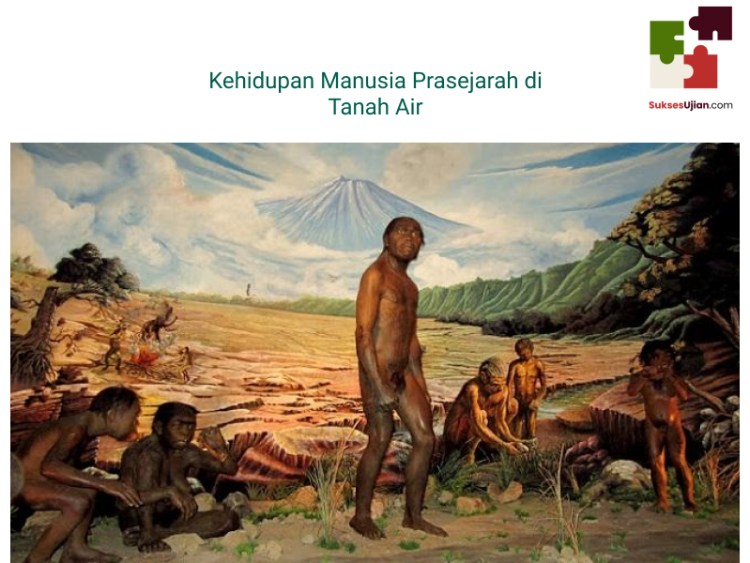 Detail Gambar Choeromous Babi Purba Di Kalimantan Nomer 10