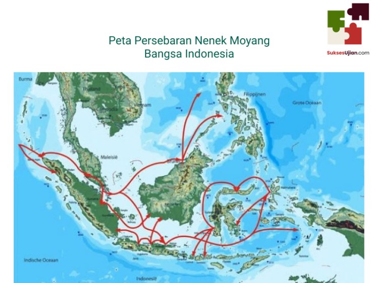 Detail Gambar Choeromous Babi Purba Di Kalimantan Nomer 49