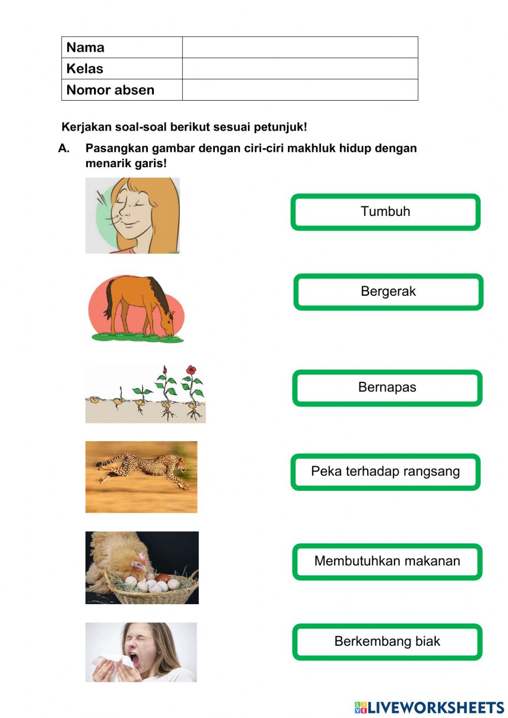 Detail Gambar Ciri Makhluk Hidup Nomer 22