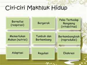 Detail Gambar Ciri Makhluk Hidup Nomer 30