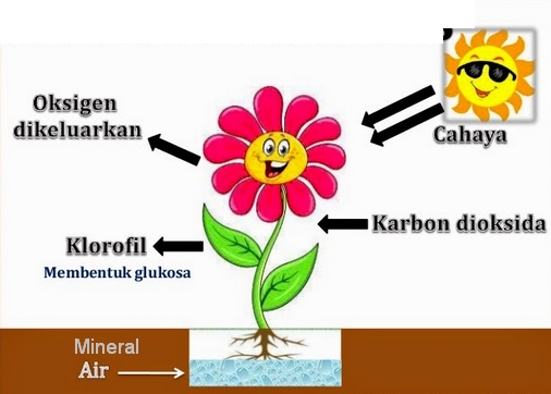 Detail Gambar Ciri Makhluk Hidup Nomer 37