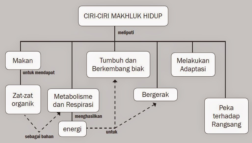 Detail Gambar Ciri Makhluk Hidup Nomer 40