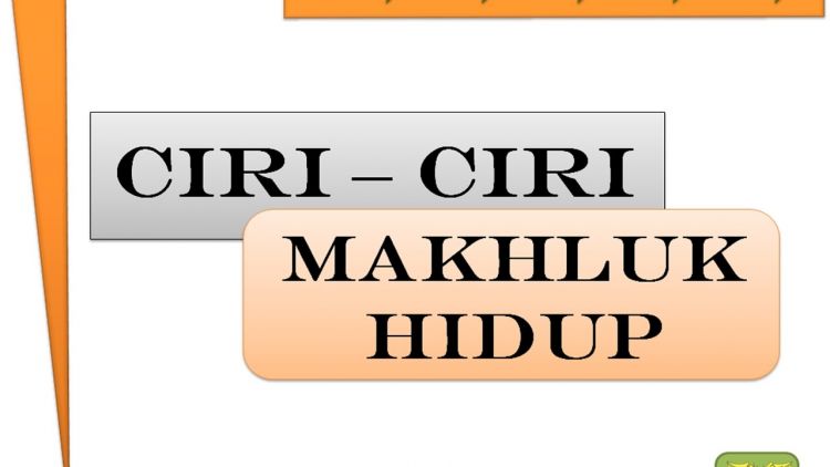 Detail Gambar Ciri Makhluk Hidup Nomer 41