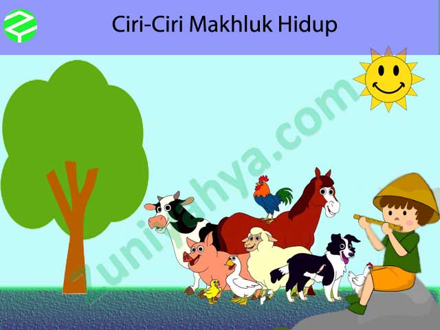 Detail Gambar Ciri Makhluk Hidup Nomer 53