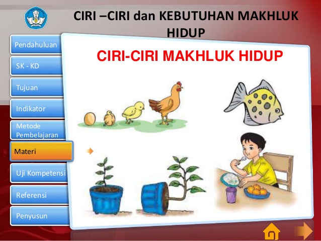 Detail Gambar Ciri Makhluk Hidup Nomer 9