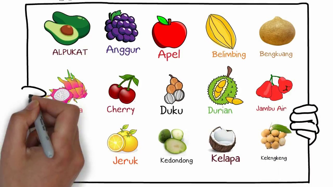 Gambar Color Untuk Menggambar Nama Nama Buah Untuk Anak Usia Dini - KibrisPDR