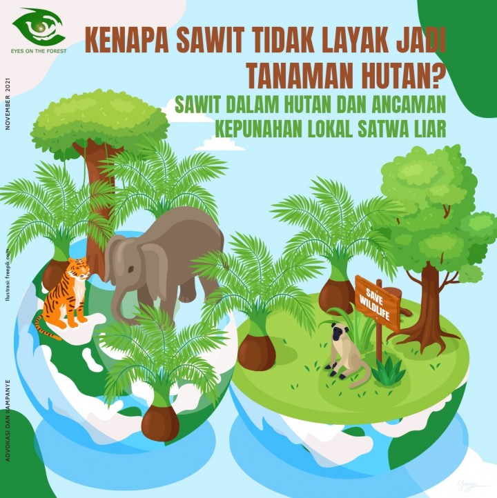 Detail Gambar Dampak Erkebunan Kelapa Sawit Nomer 24