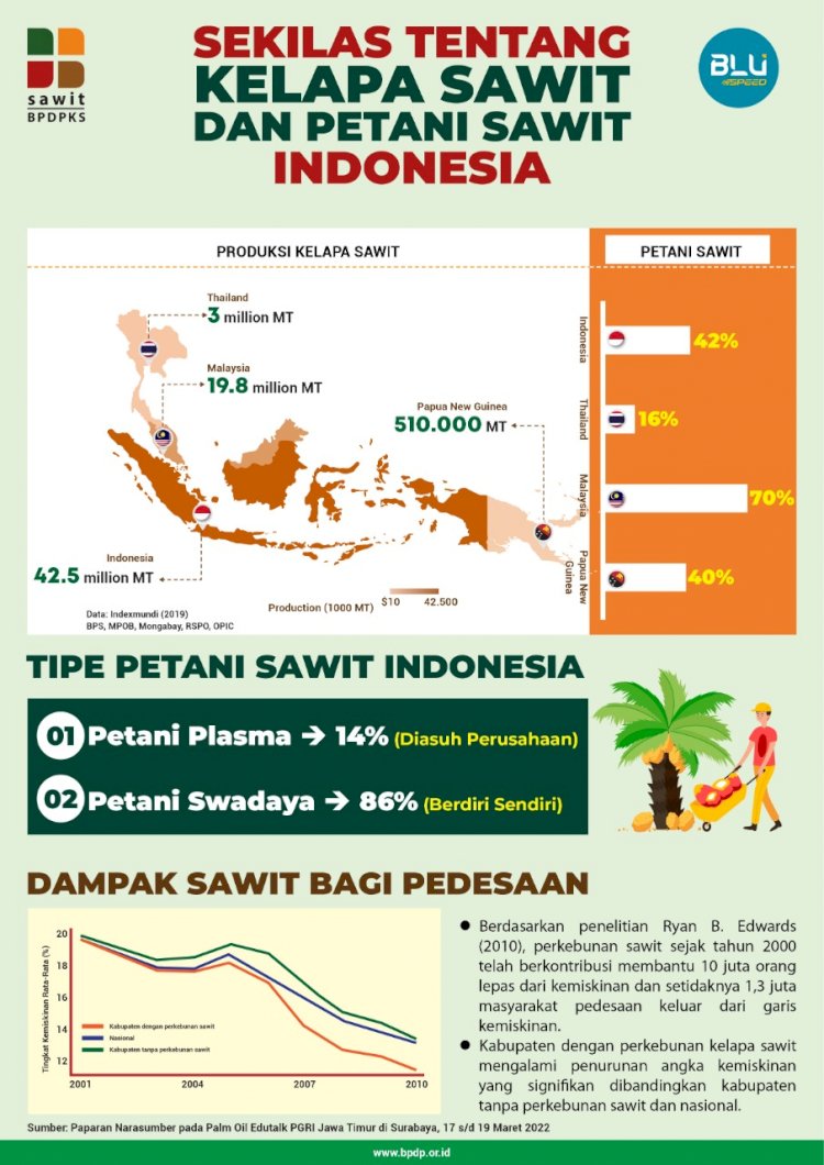 Detail Gambar Dampak Erkebunan Kelapa Sawit Nomer 29