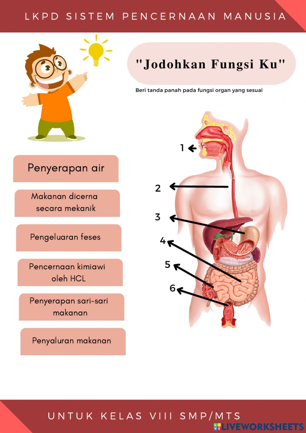 Detail Gambar Dan Beri Keterangan Tentang Saluran Pencernaan Makanan Manusia Nomer 16