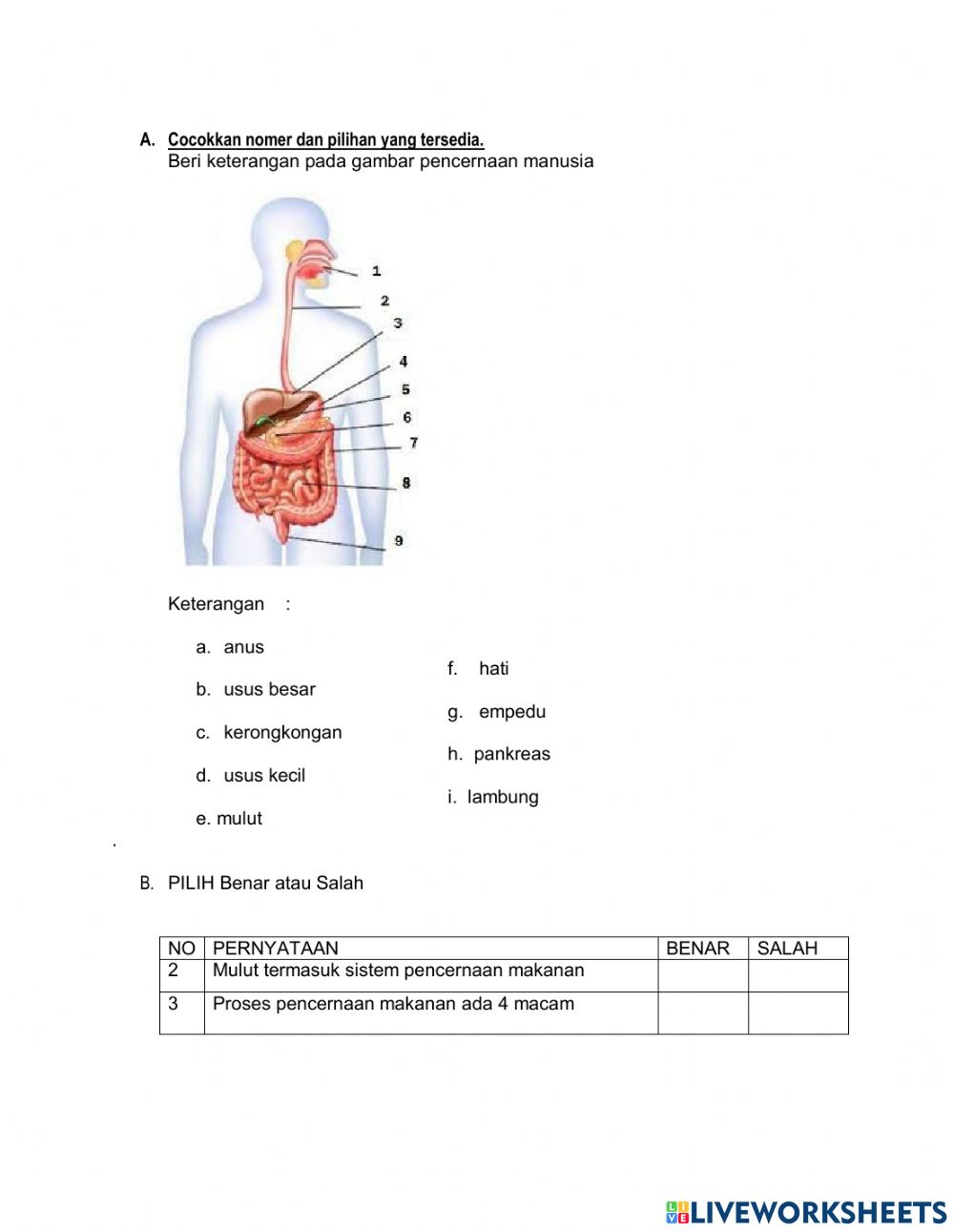 Detail Gambar Dan Beri Keterangan Tentang Saluran Pencernaan Makanan Manusia Nomer 25