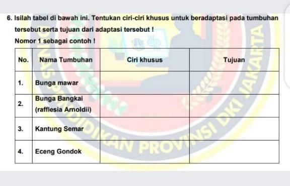 Detail Gambar Dan Ciri Khusus Bunga Bangkai Nomer 29