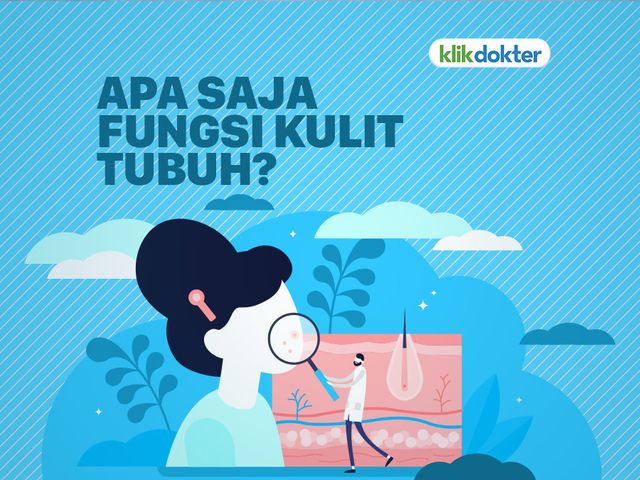 Detail Gambar Dan Fungsi Nomer 13